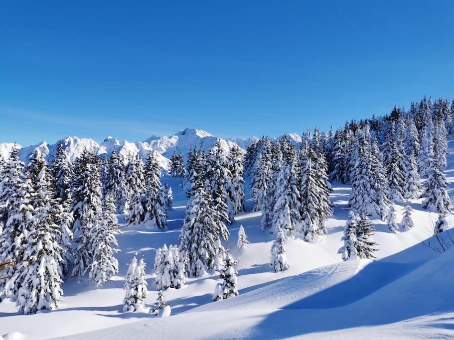 La Tour En Belledonne Villa Theys Bagian luar foto